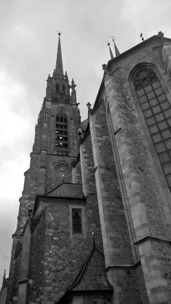 Oude Kathedraal Zwart Wit Toon — Stockfoto