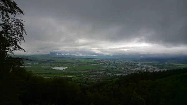 Forêt Montagne Verte Jour — Photo