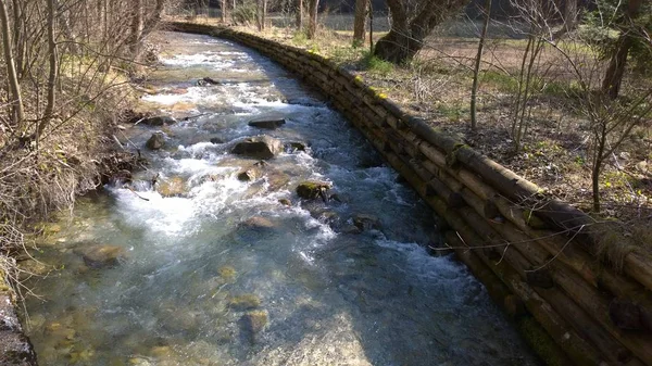 Водний Потік Осінньому Лісі — стокове фото