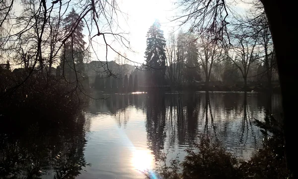 Belo Lago Outono Floresta — Fotografia de Stock