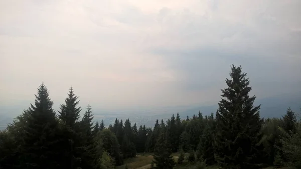 Bulutlu Bir Günde Orman Dağı Manzarası — Stok fotoğraf