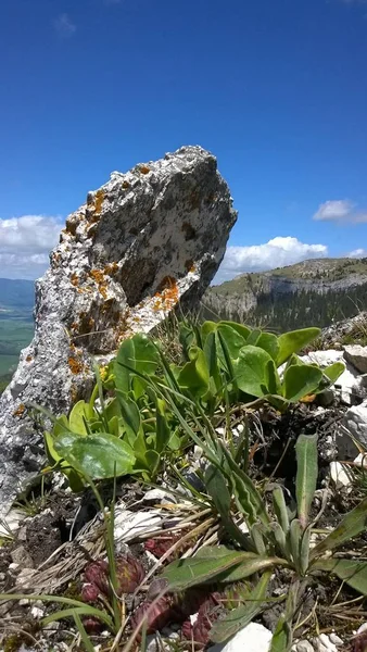 Ostra Pico Nas Montanhas Velka Fatra Eslováquia — Fotografia de Stock