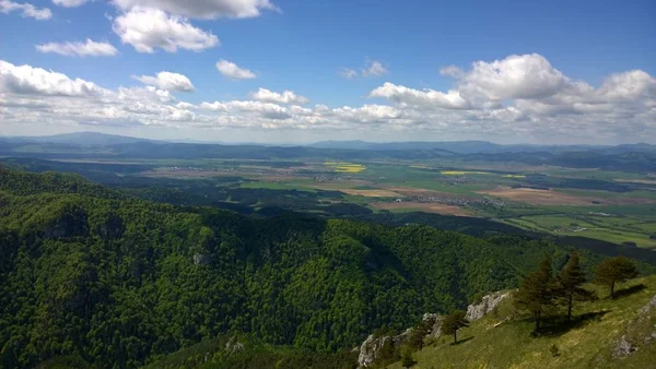 Hermoso Paisaje Las Montañas Verano —  Fotos de Stock