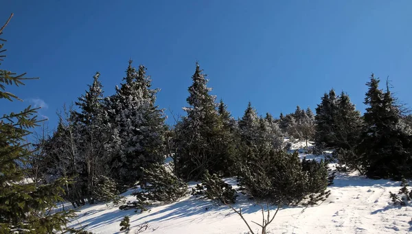 Nevado Paisaje Invierno Durante Día —  Fotos de Stock