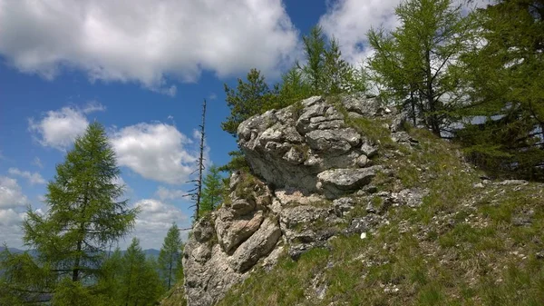 Ostra Piek Velka Fatra Mountains Slowakije — Stockfoto