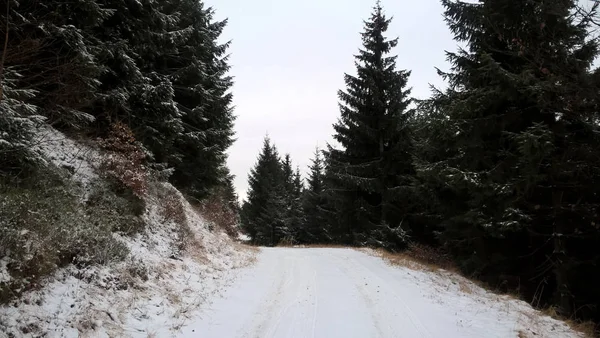 Zimní Krajina Zasněženými Stromy — Stock fotografie