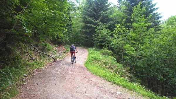 Homem Andando Bicicleta Montanhas Floresta — Fotografia de Stock