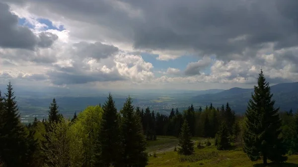 曇り空の山の森 — ストック写真