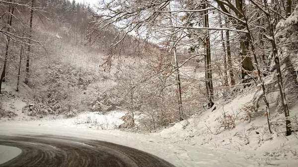 深い冬の間に雪に覆われた自然 スロバキア — ストック写真