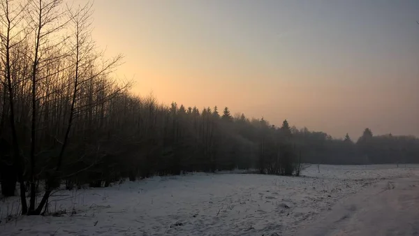 在白雪覆盖的冬季森林上落幕 — 图库照片