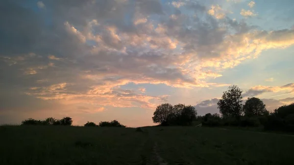 黄昏时分 草地上的风景 — 图库照片