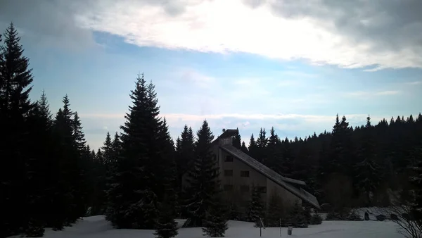 Domek Zimowym Lesie Górskim — Zdjęcie stockowe