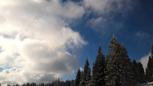 Cielo Sopra Foresta Montagna Invernale — Foto Stock