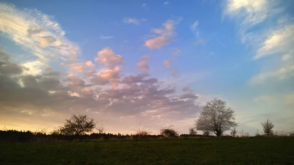 Luční Krajina Slunečného Dne — Stock fotografie