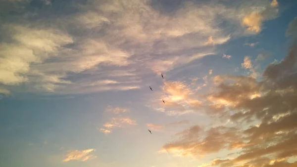 Vita Moln Blå Himmel — Stockfoto