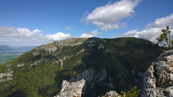 Ostra Und Tlsta Gipfel Velka Fatra Gebirge Slowakei — Stockfoto
