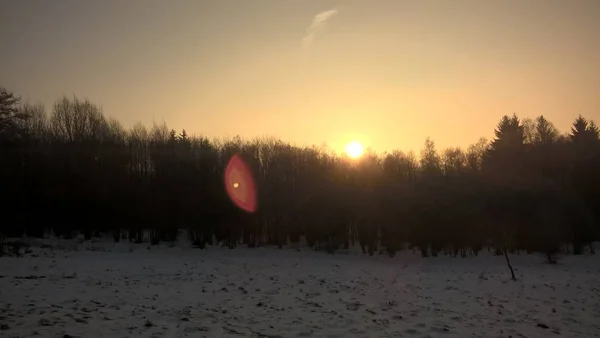 Pôr Sol Sobre Neve Floresta Inverno — Fotografia de Stock
