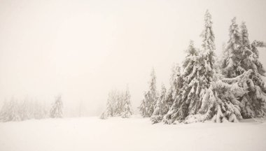 snowy orman ile kış manzarası