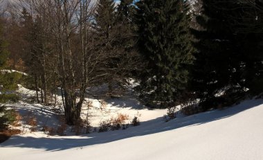 Gündüz vakti karlı kış manzarası 