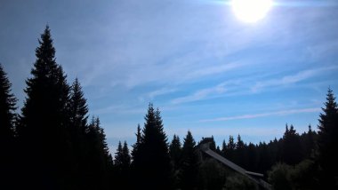 Güneşli bir günde dağ ormanı