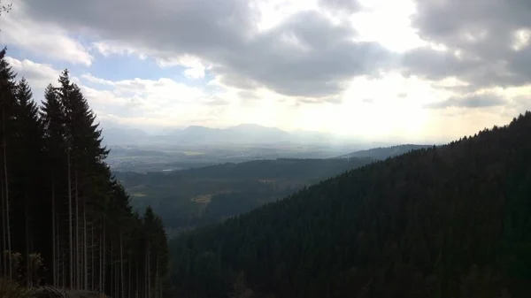 Dağ Orman Havadan Görünümü — Stok fotoğraf