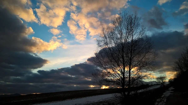 Heller Sonnenuntergang Über Der Natur — Stockfoto