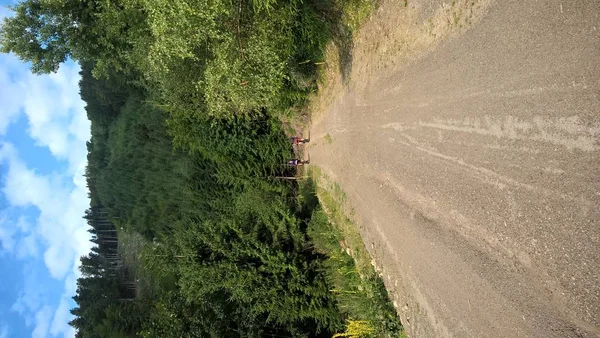 Sentier Routier Forêt Verte — Photo