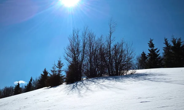 Gündüz vakti karlı kış manzarası 