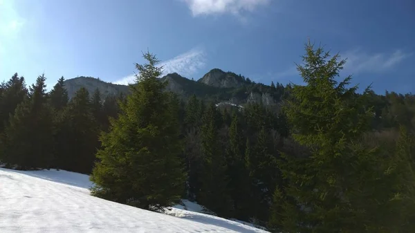 晴れた日の冬の山の風景 — ストック写真
