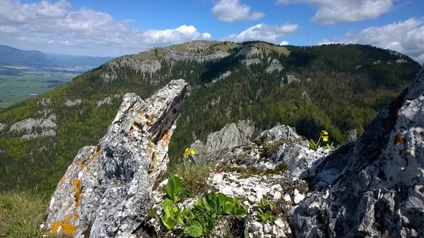 Ostra Pico Las Montañas Velka Fatra Países Bajos —  Fotos de Stock