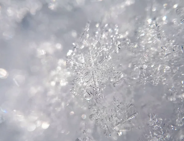 冬天的雪结晶体 斯洛伐克 — 图库照片