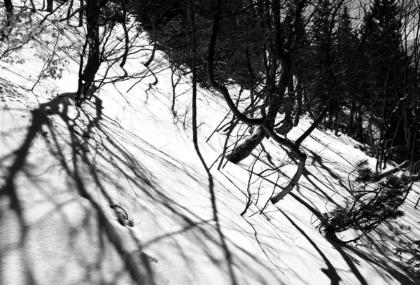 Śnieżny Zimowy Krajobraz Dzień — Zdjęcie stockowe