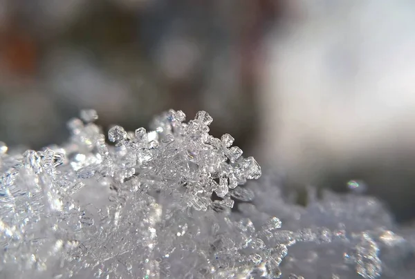 冬の雪の結晶 スロバキア — ストック写真