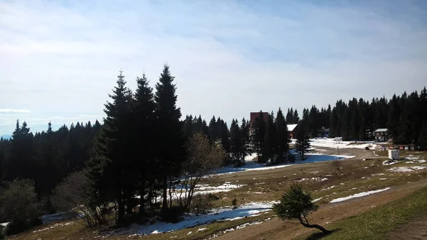 雪地森林的冬季山地景观 — 图库照片