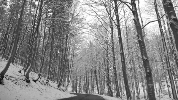 Die Natur Ist Tiefen Winter Schneebedeckt Slowakei — Stockfoto