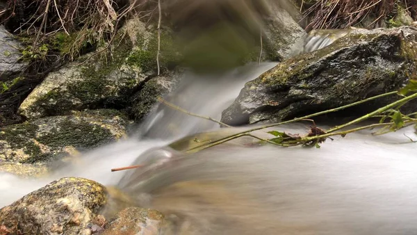 Kleiner Wasserfall Wald Aus Nächster Nähe — Stockfoto