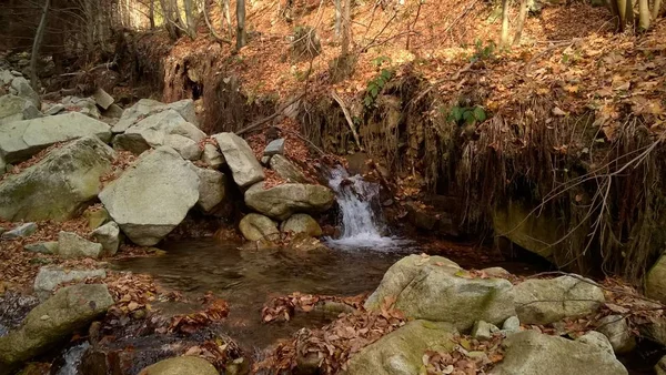 Schöner Wasserfall Mit Steinen Wald — Stockfoto