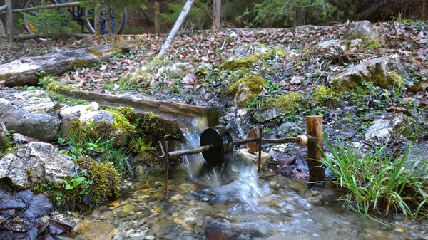 Víz Patak Őszi Erdőben — Stock Fotó