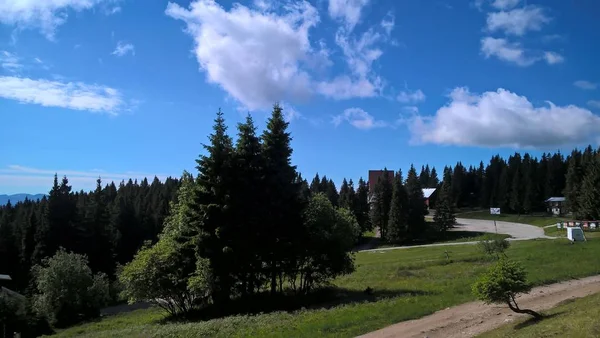 Bosque Paisaje Montaña Durante Día — Foto de Stock