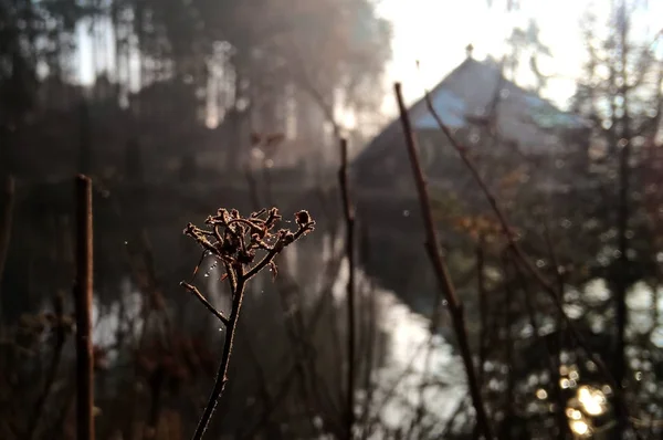 Piękne Jesienne Jezioro Widok Rozmycia — Zdjęcie stockowe
