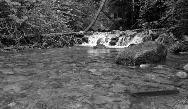 Ormandaki küçük dağ şelalesi