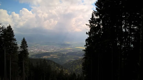 Bergwaldlandschaft Tag — Stockfoto