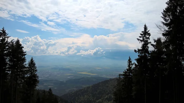 Vue Aérienne Forêt Montagne — Photo