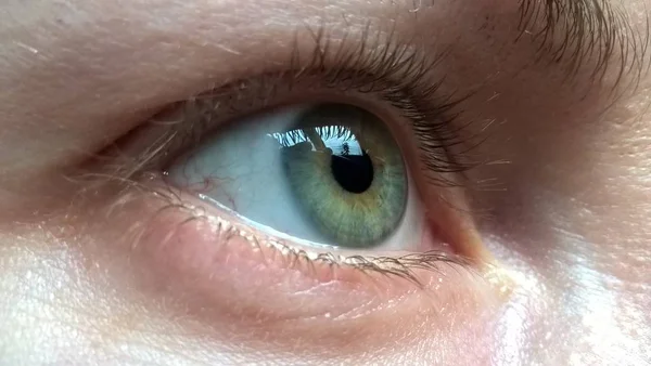 Chiudere Immagine Dell Occhio Umano Con Gli Occhi Blu — Foto Stock