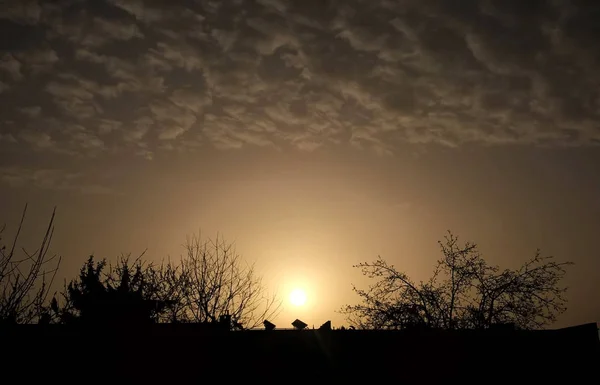 Weidelandschap Bij Zonsondergang — Stockfoto