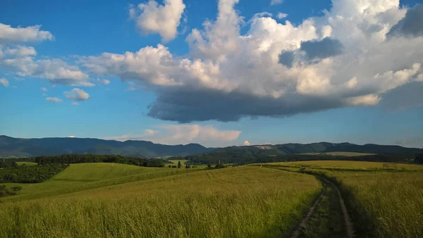 Beautiful meadow landscape in Slovakia