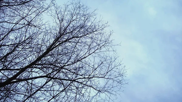 Cloudy Sky Nature Slovakia — Stock Photo, Image