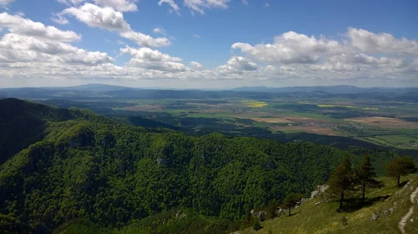 Hermoso Paisaje Las Montañas Verano —  Fotos de Stock