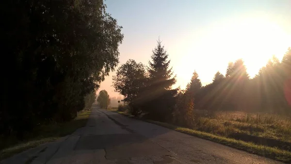 Straße Sonnigen Herbstwald — Stockfoto