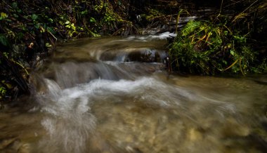Ormandaki nehir üzerinde küçük şelale